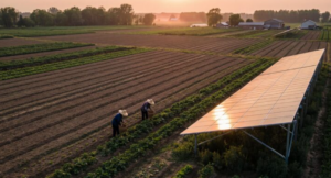 A solução para a fazenda: como a energia solar está revolucionando o agronegócio